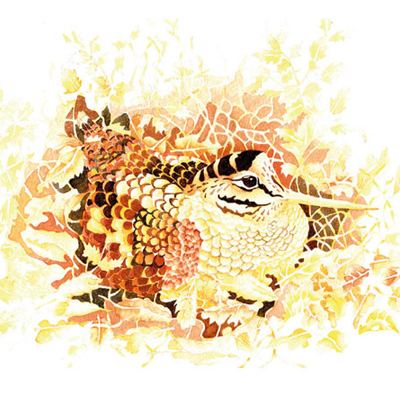 illustration © Iona June