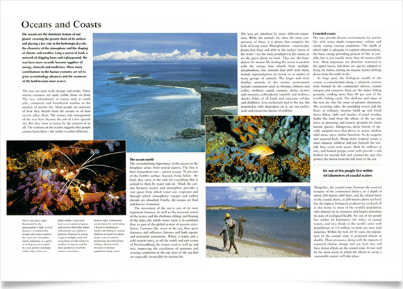 Caring for the Earth Caring for the Earth