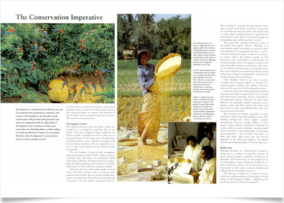 Caring for the Earth Caring for the Earth