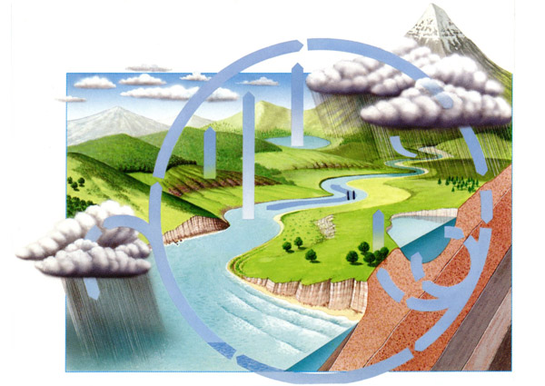 Caring for the Earth Caring for the Earth