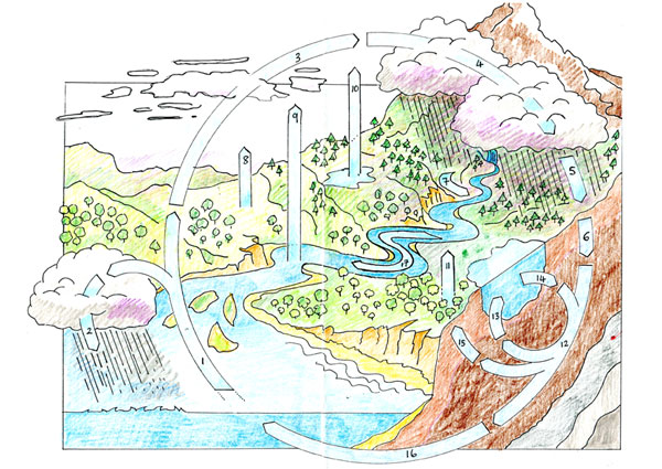 Caring for the Earth Caring for the Earth