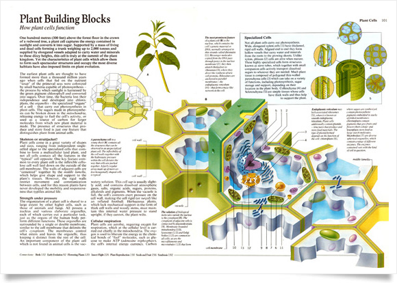 Nature encyclopedia