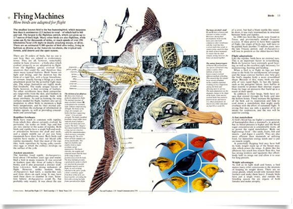 Nature encyclopedia