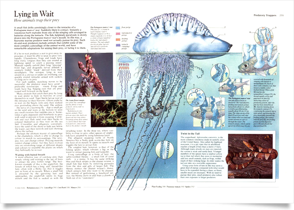 Nature encyclopedia