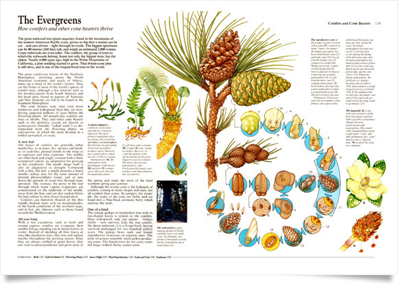 Nature encyclopedia