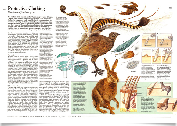 Nature encyclopedia