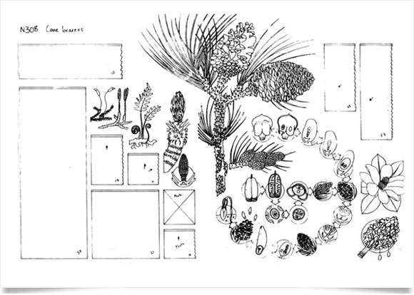 Nature encyclopedia