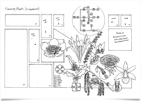 Nature encyclopedia