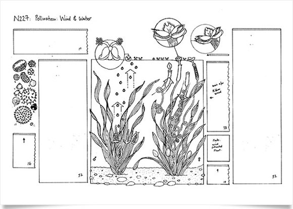 Nature encyclopedia