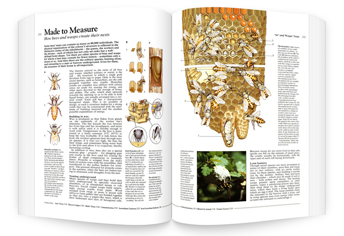 Nature encyclopedia