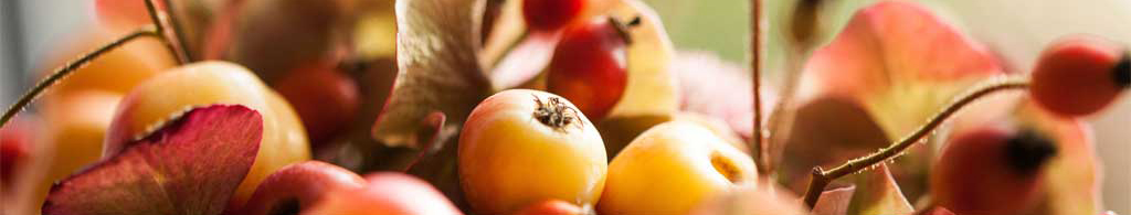 Organic fruit and veg